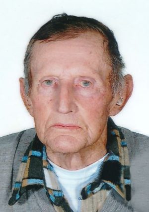 Portrait von Albin Kerschbaumer Wegerhof in Pardell